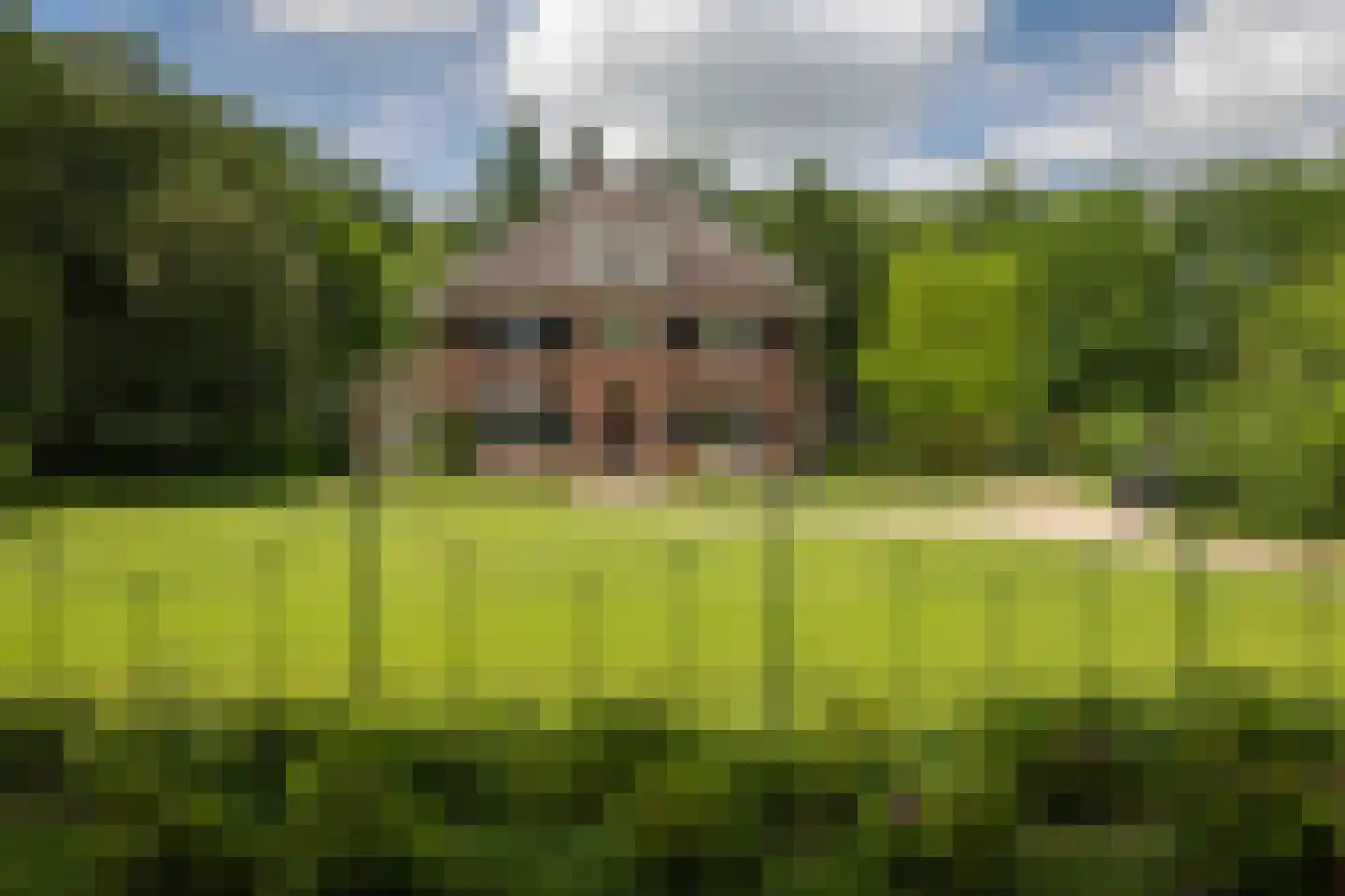 Damlaan 12 Eefde thumbnail 67