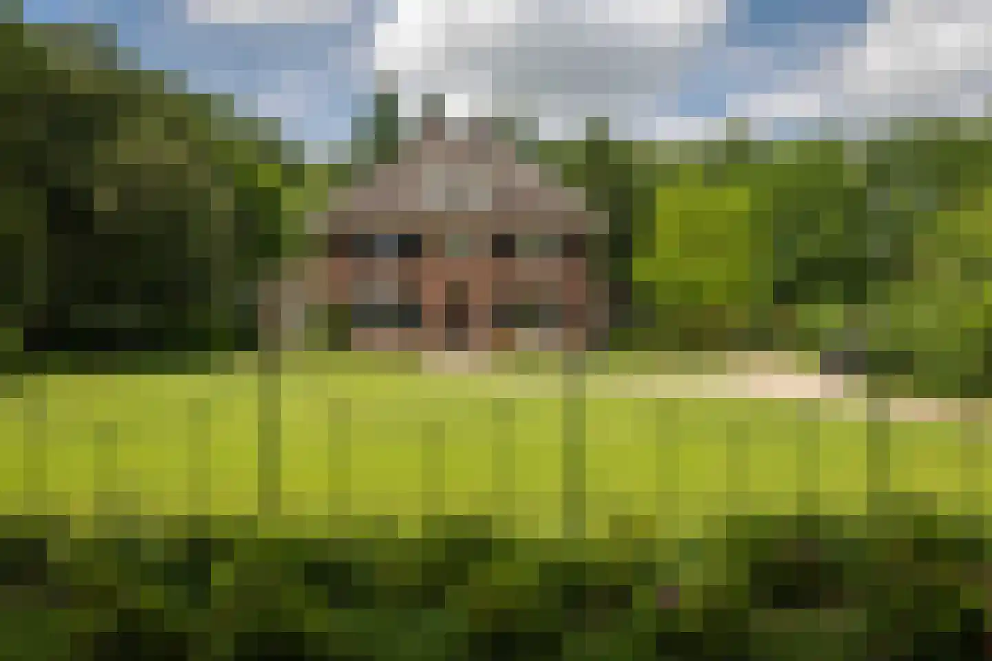 Damlaan 12 Eefde thumbnail 67