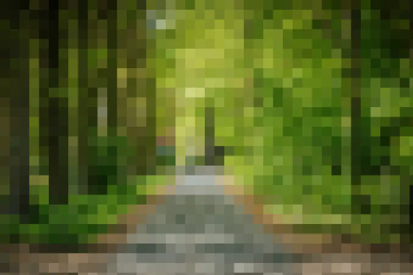 Damlaan 12 Eefde thumbnail 68