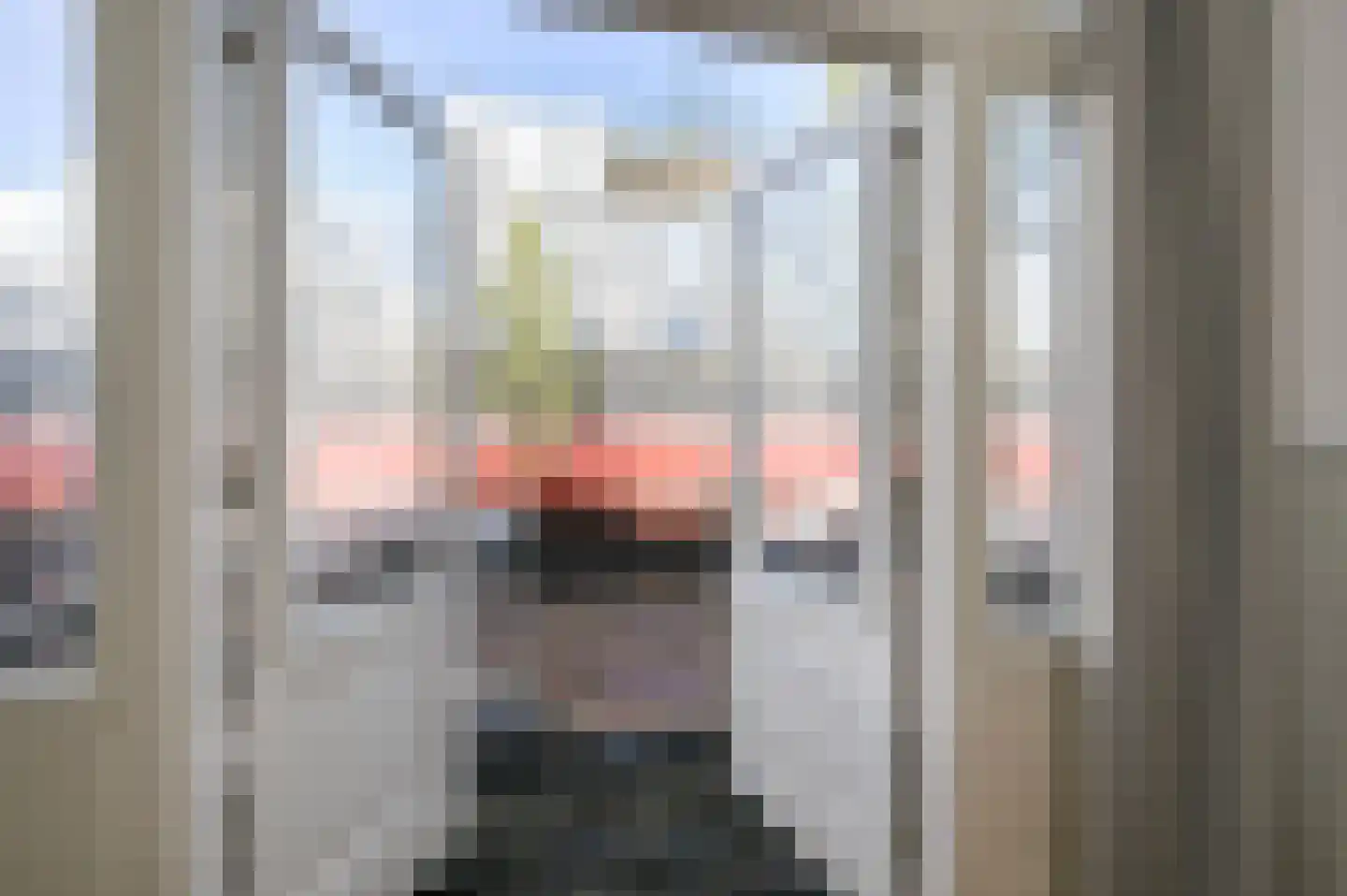Damlaan 33 Leidschendam thumbnail 13
