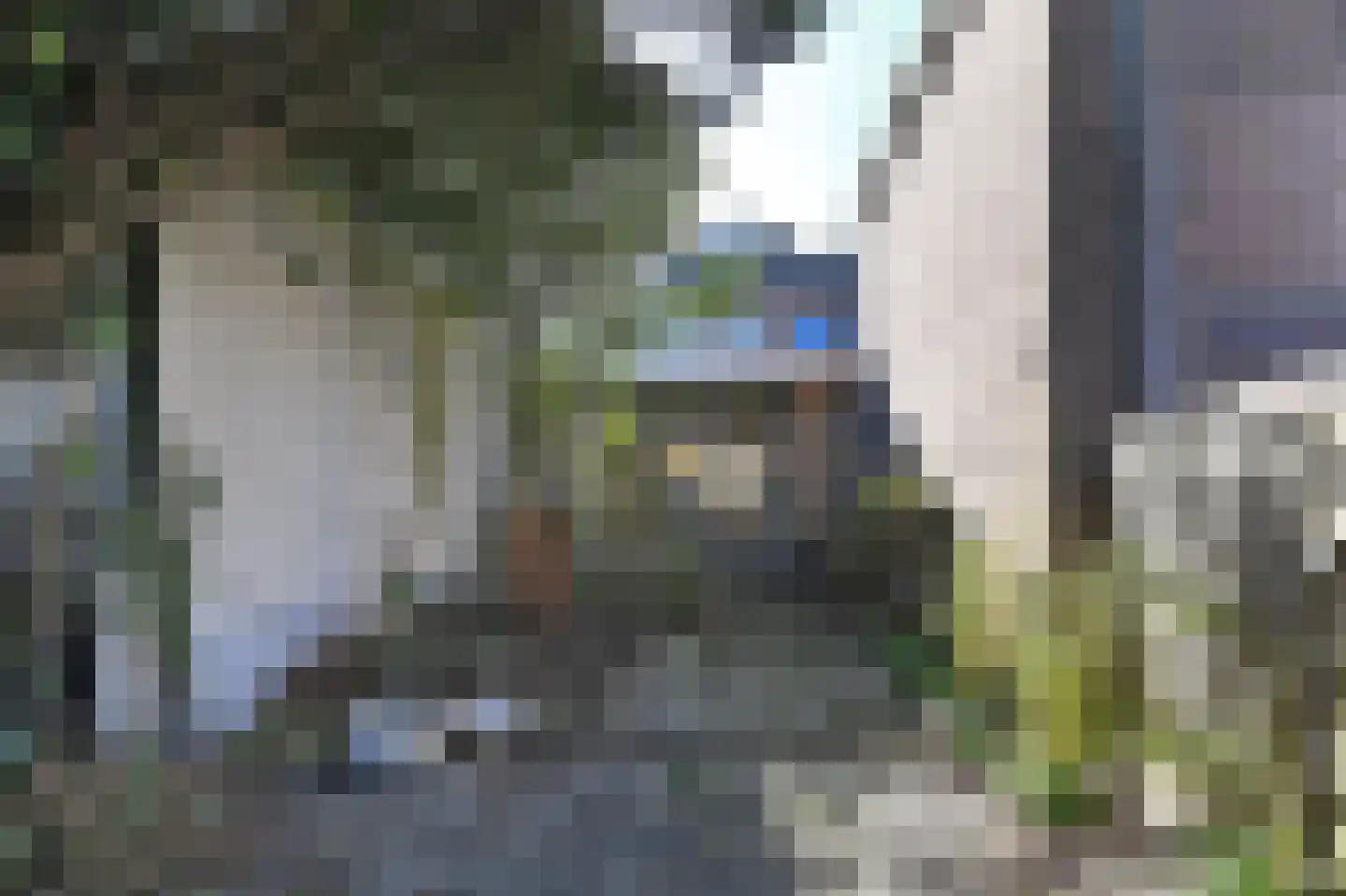 Damlaan 34 Leidschendam thumbnail 19