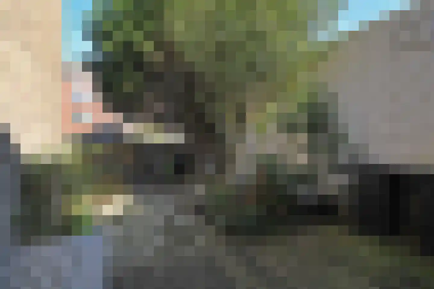 Damlaan 34 Leidschendam thumbnail 23