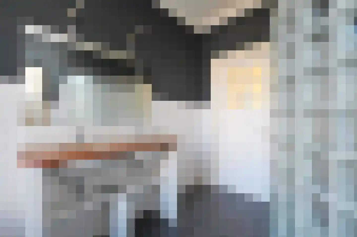 Damlaan 34 Leidschendam thumbnail 30