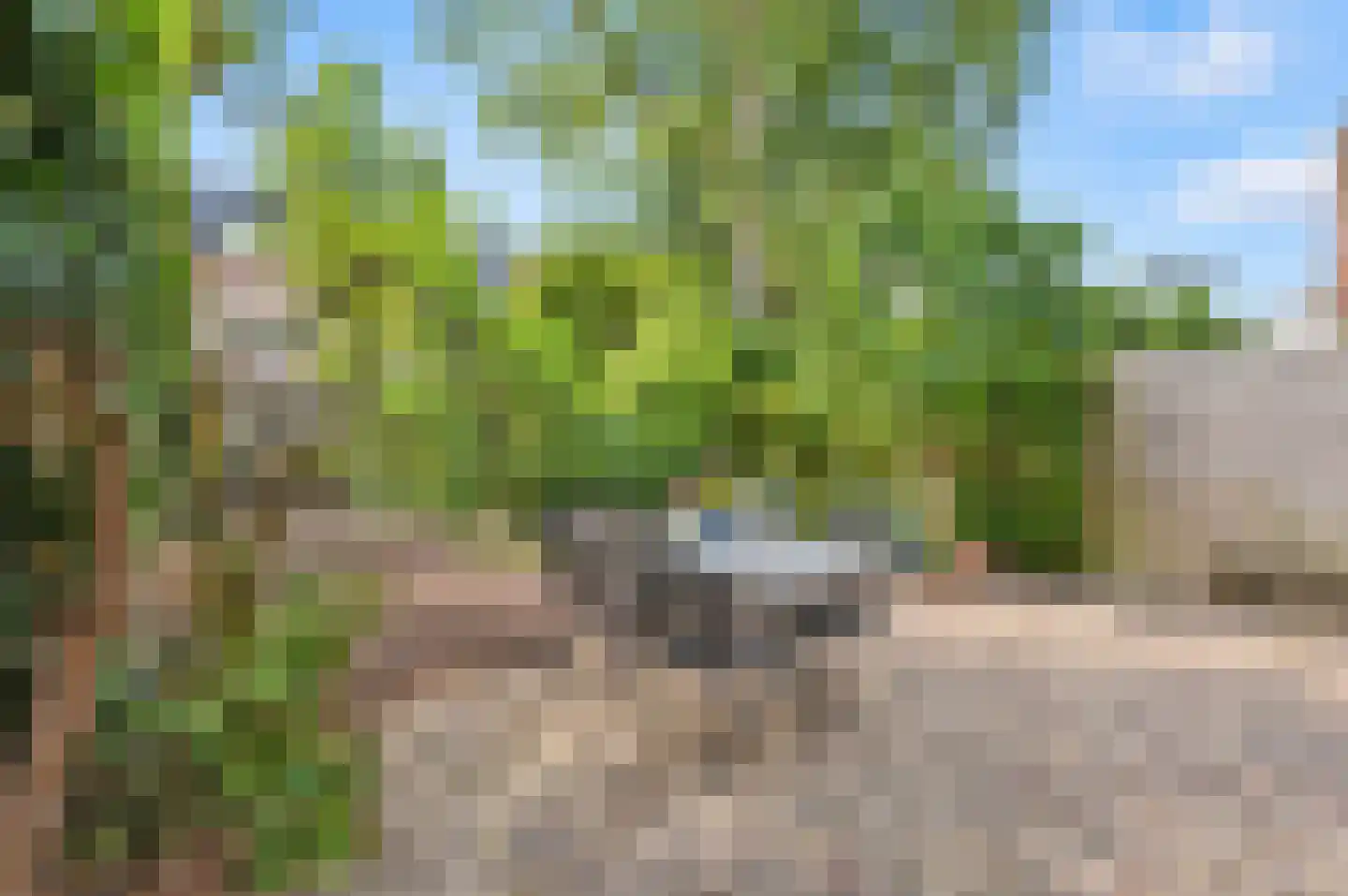 Damlaan 37 Leidschendam thumbnail 28
