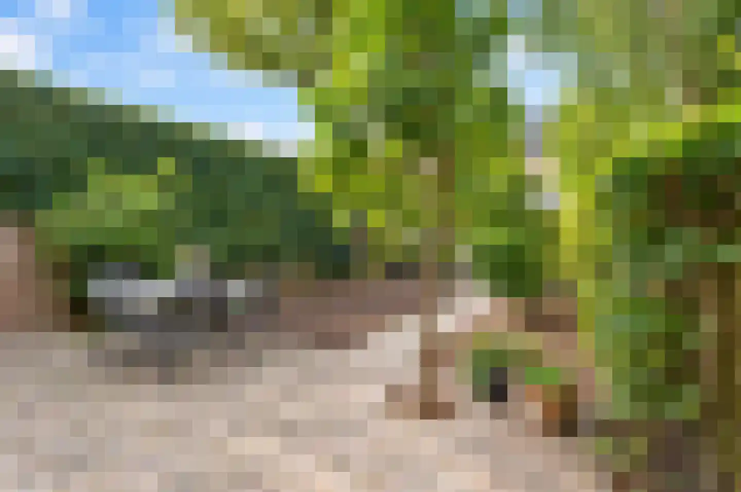 Damlaan 37 Leidschendam thumbnail 6