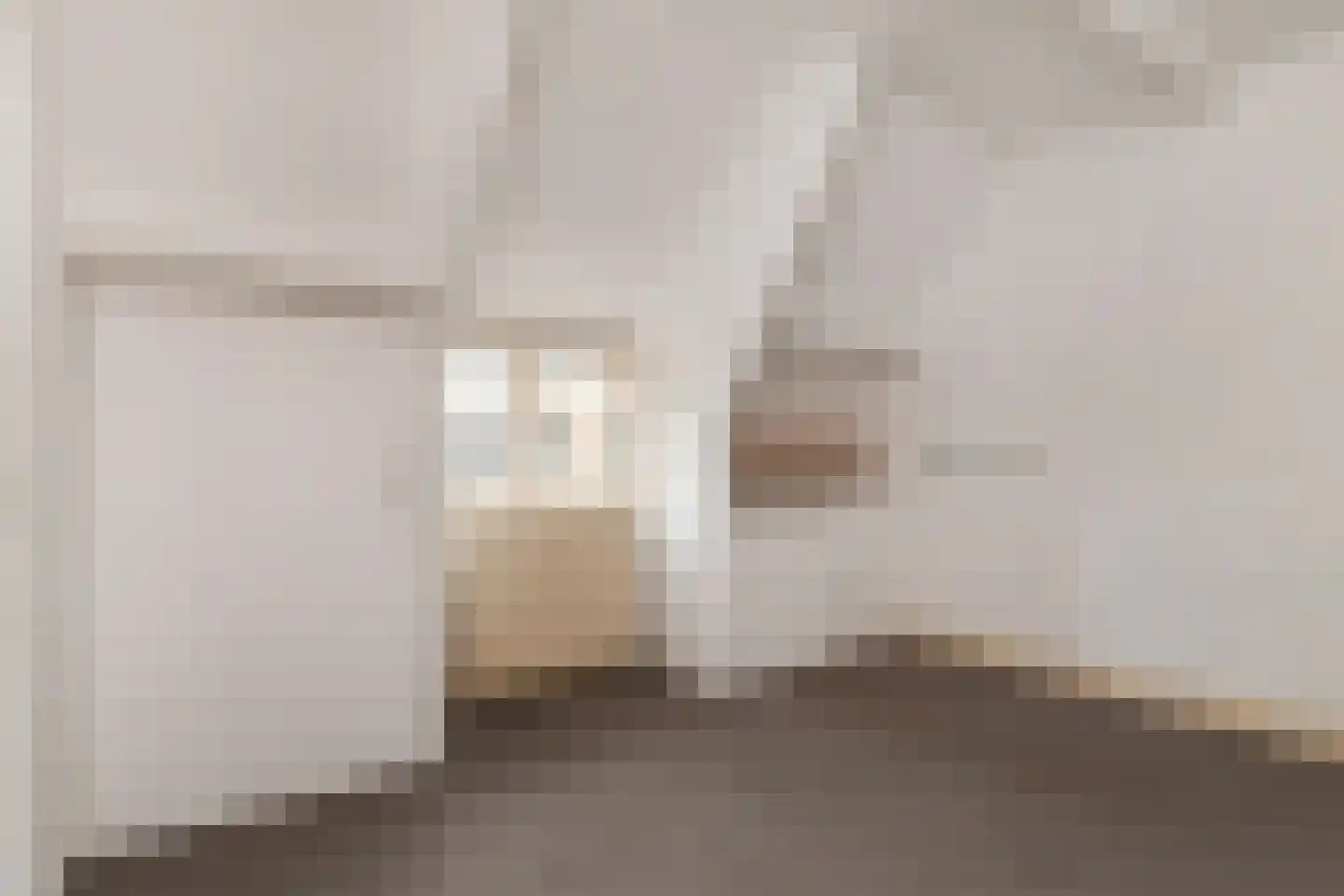 Damlaan 41 A Leidschendam thumbnail 22
