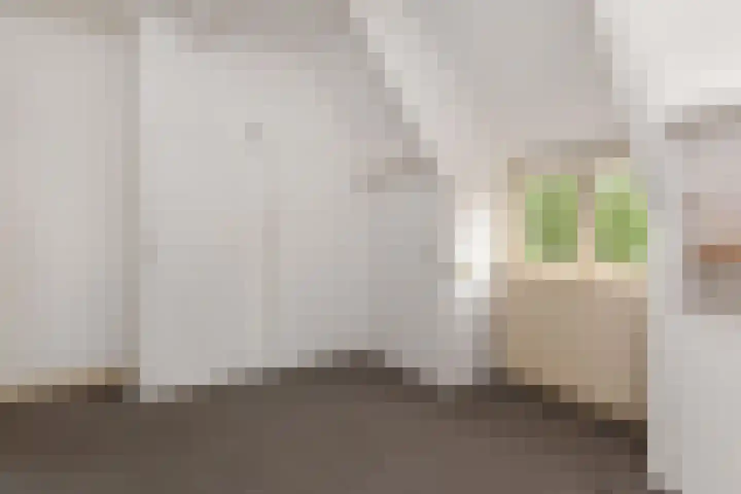 Damlaan 41 A Leidschendam thumbnail 23