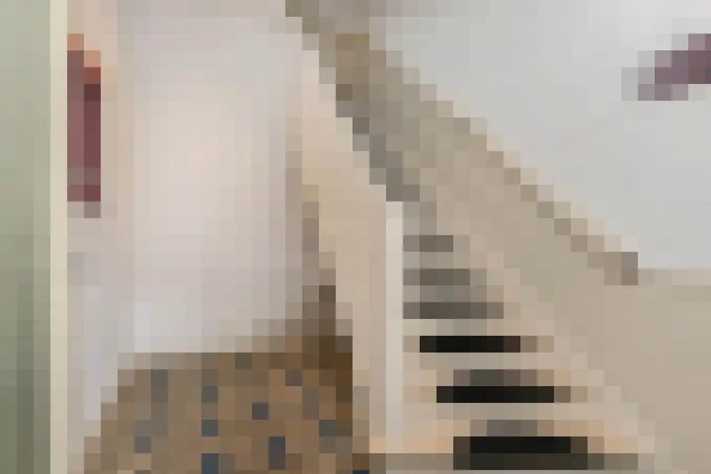 Damlaan 41 A Leidschendam thumbnail 6