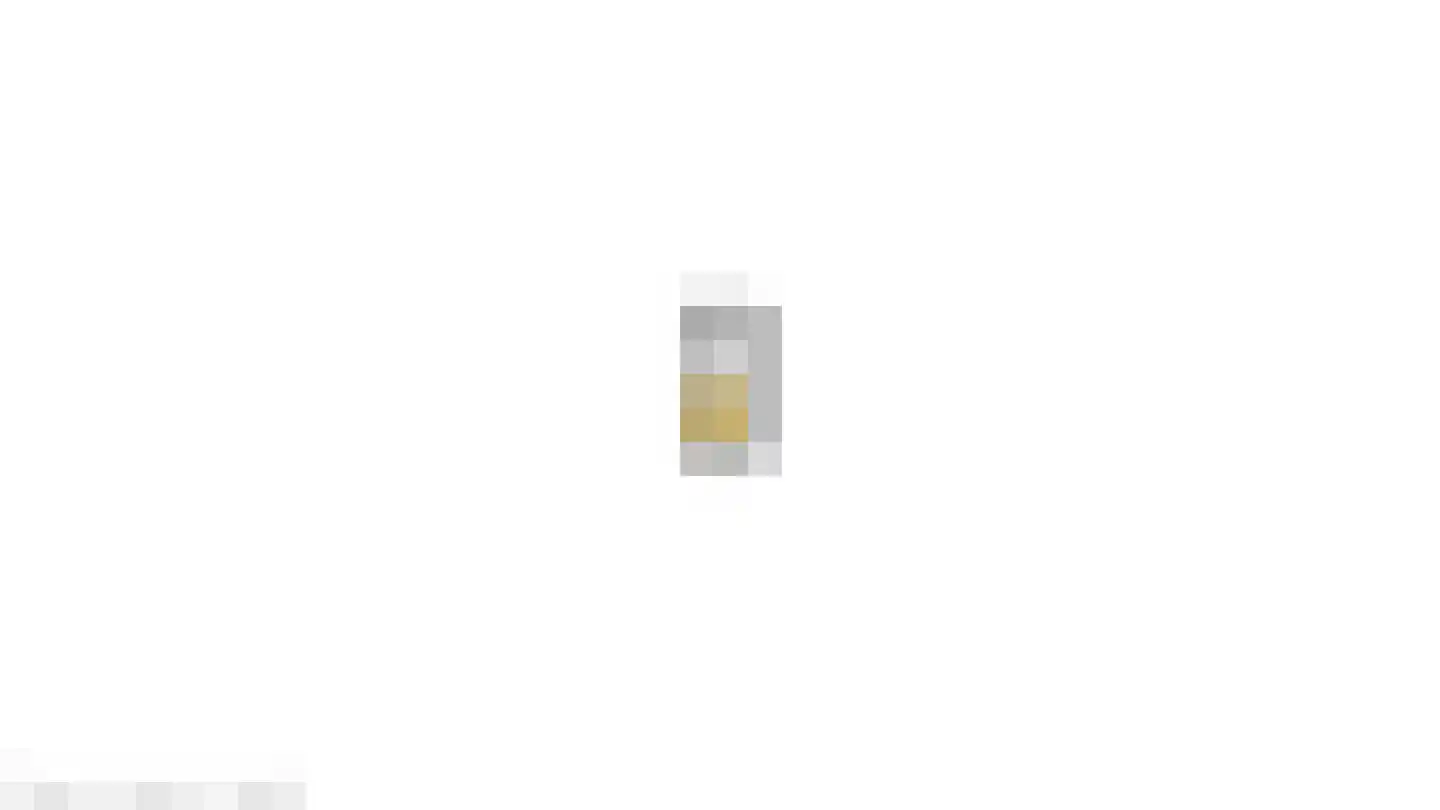 Damlaan 43 B Leidschendam thumbnail 31