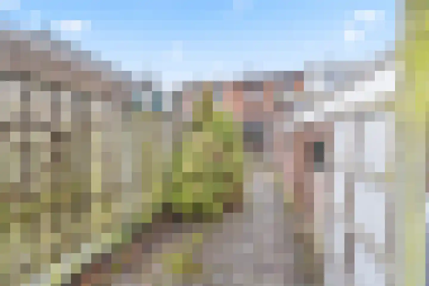 Damlaan 50 Leidschendam thumbnail 18
