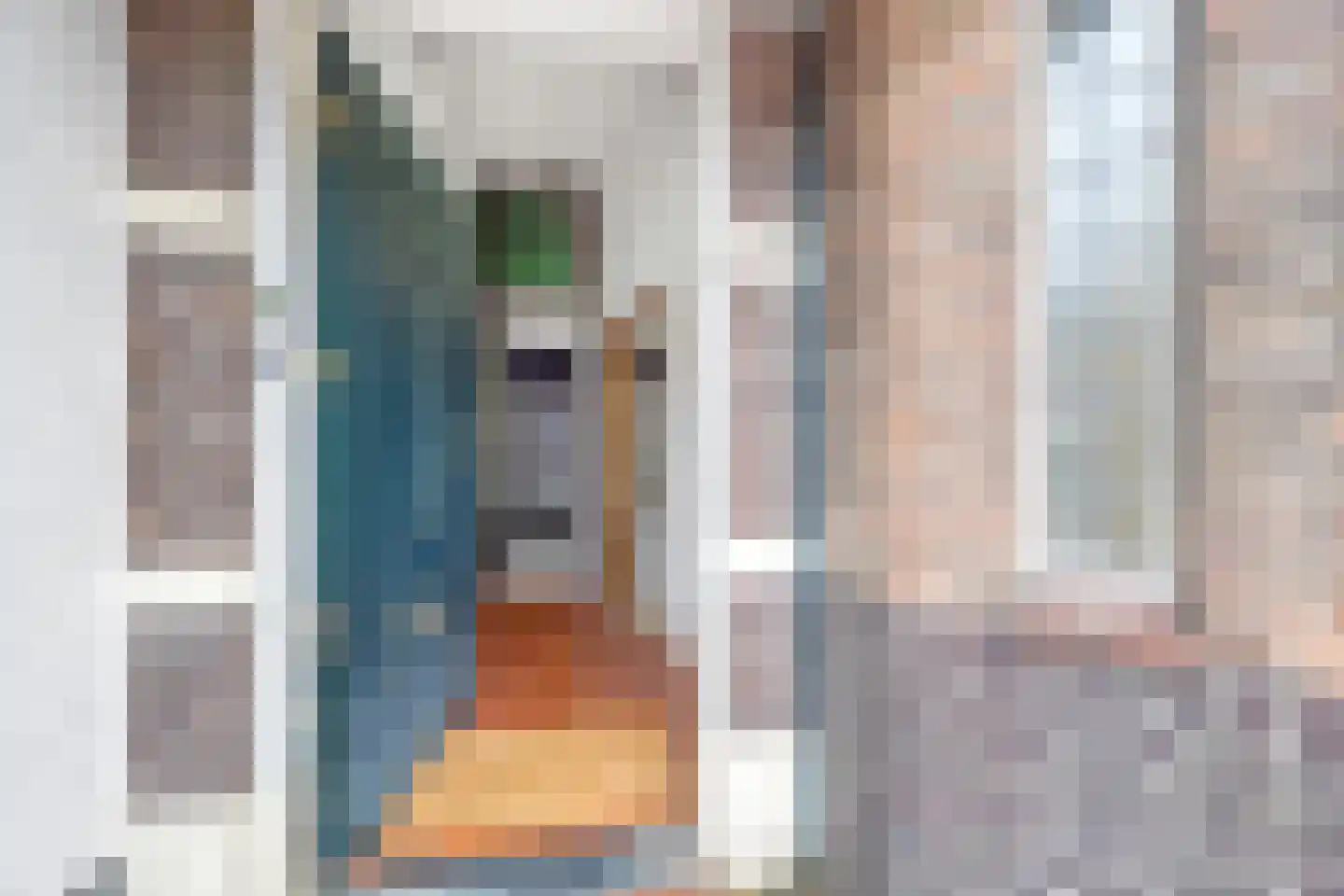 Damlaan 50 Leidschendam thumbnail 4