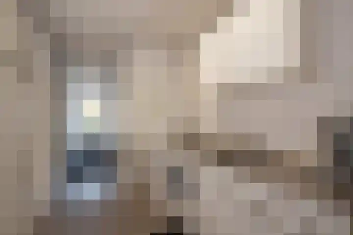 Damlaan 54 Leidschendam thumbnail 7