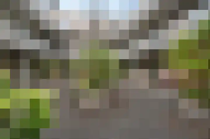 Damlaan 60 D Leidschendam thumbnail 9