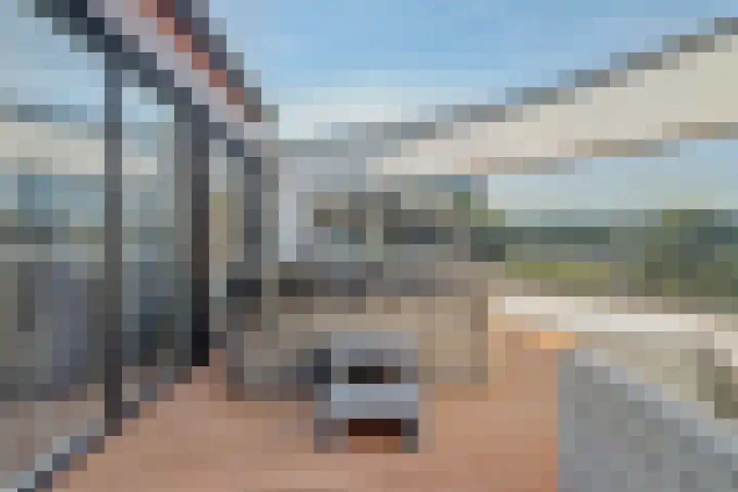 Damloper 37 Oosterhout thumbnail 33