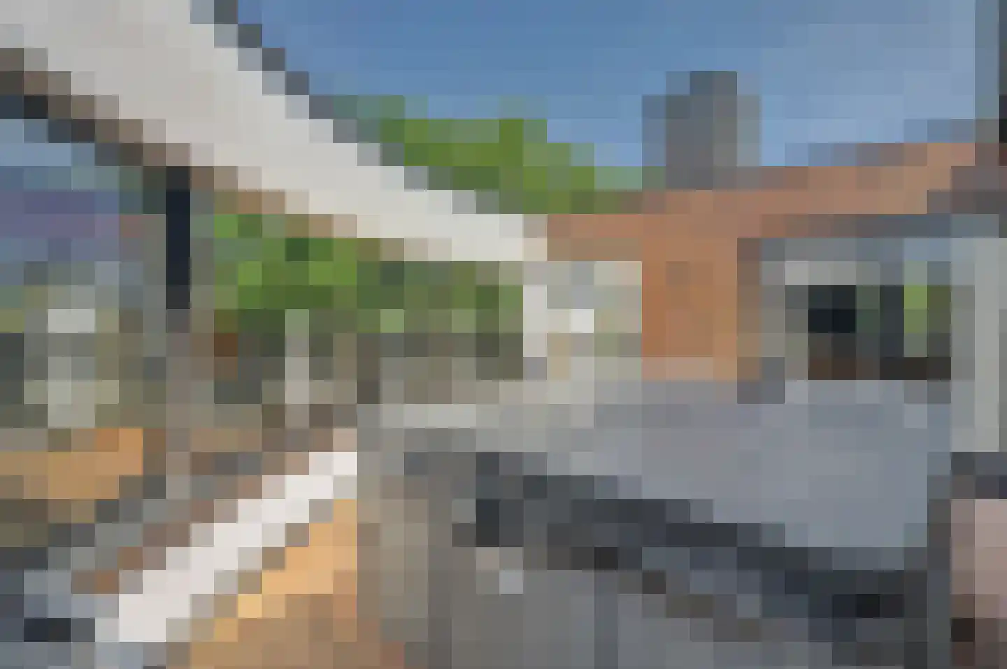 Damloper 37 Oosterhout thumbnail 36