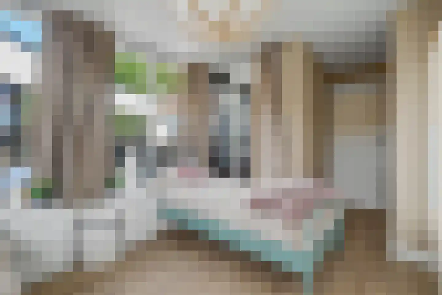 Damloper 37 Oosterhout thumbnail 48