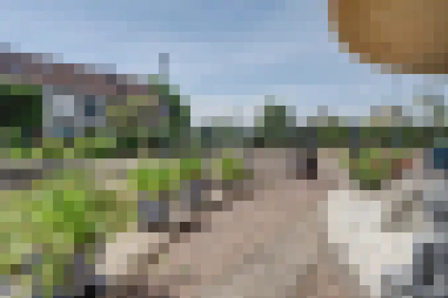 Damloper 37 Oosterhout thumbnail 64