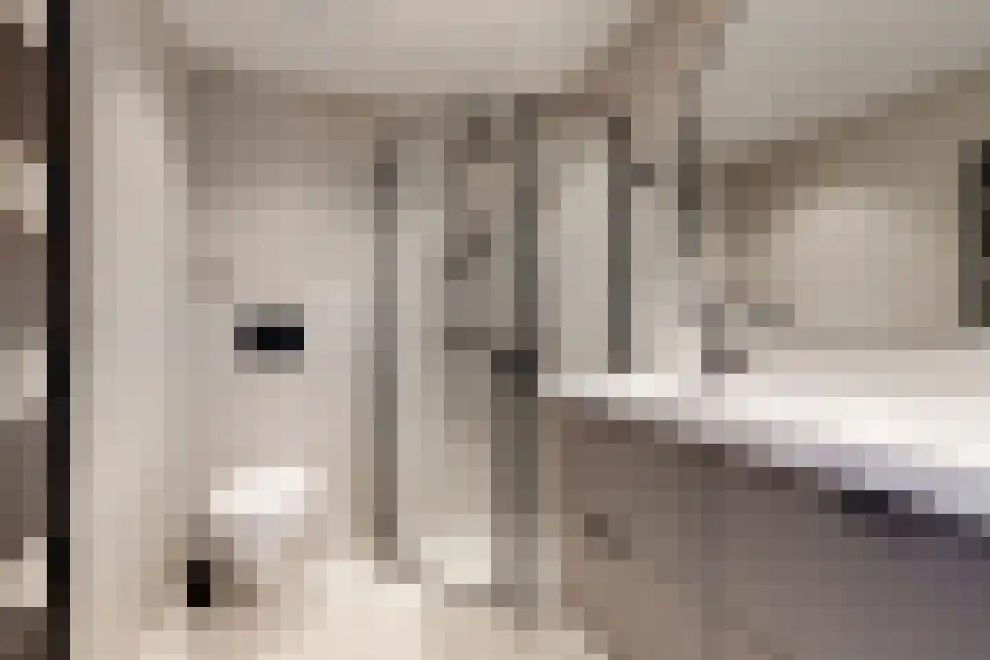 Damloperwerf 2 Leiden thumbnail 22