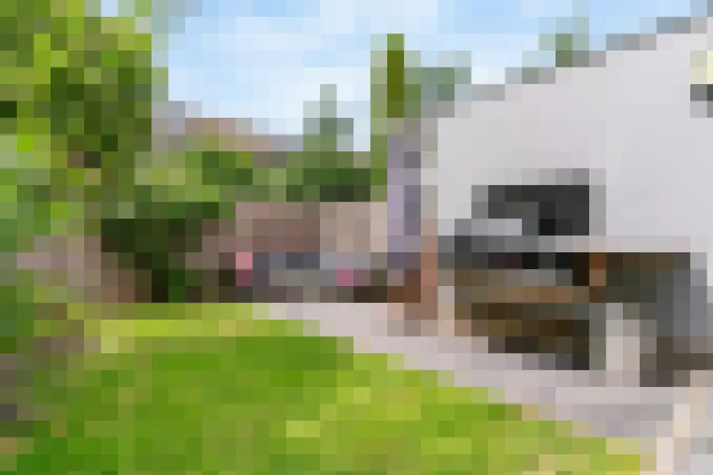 Damloperwerf 2 Leiden thumbnail 30