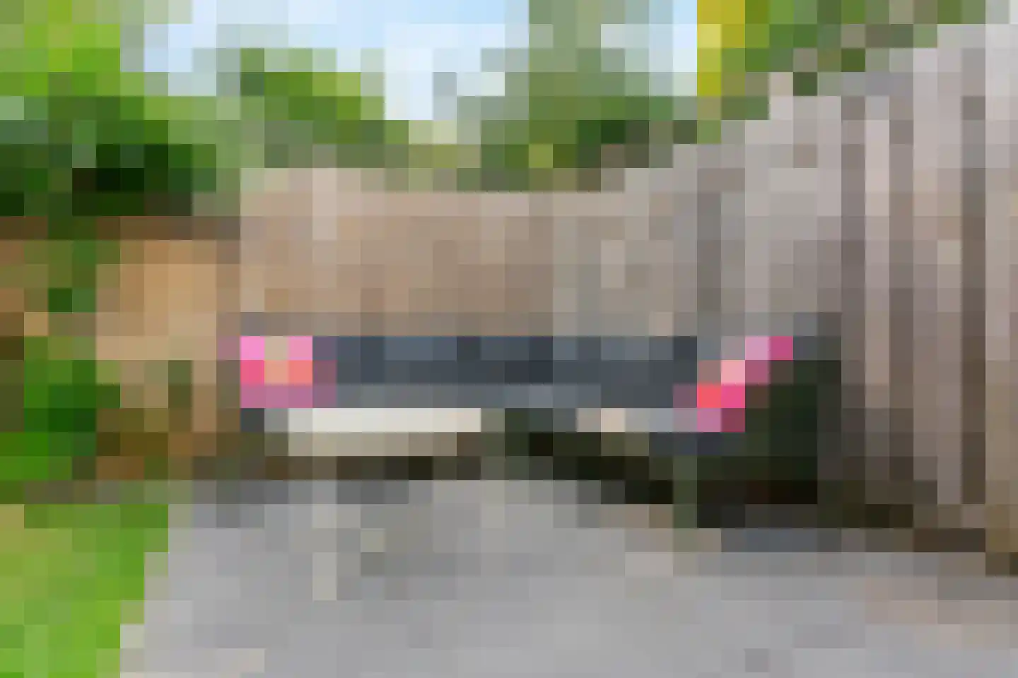 Damloperwerf 2 Leiden thumbnail 31