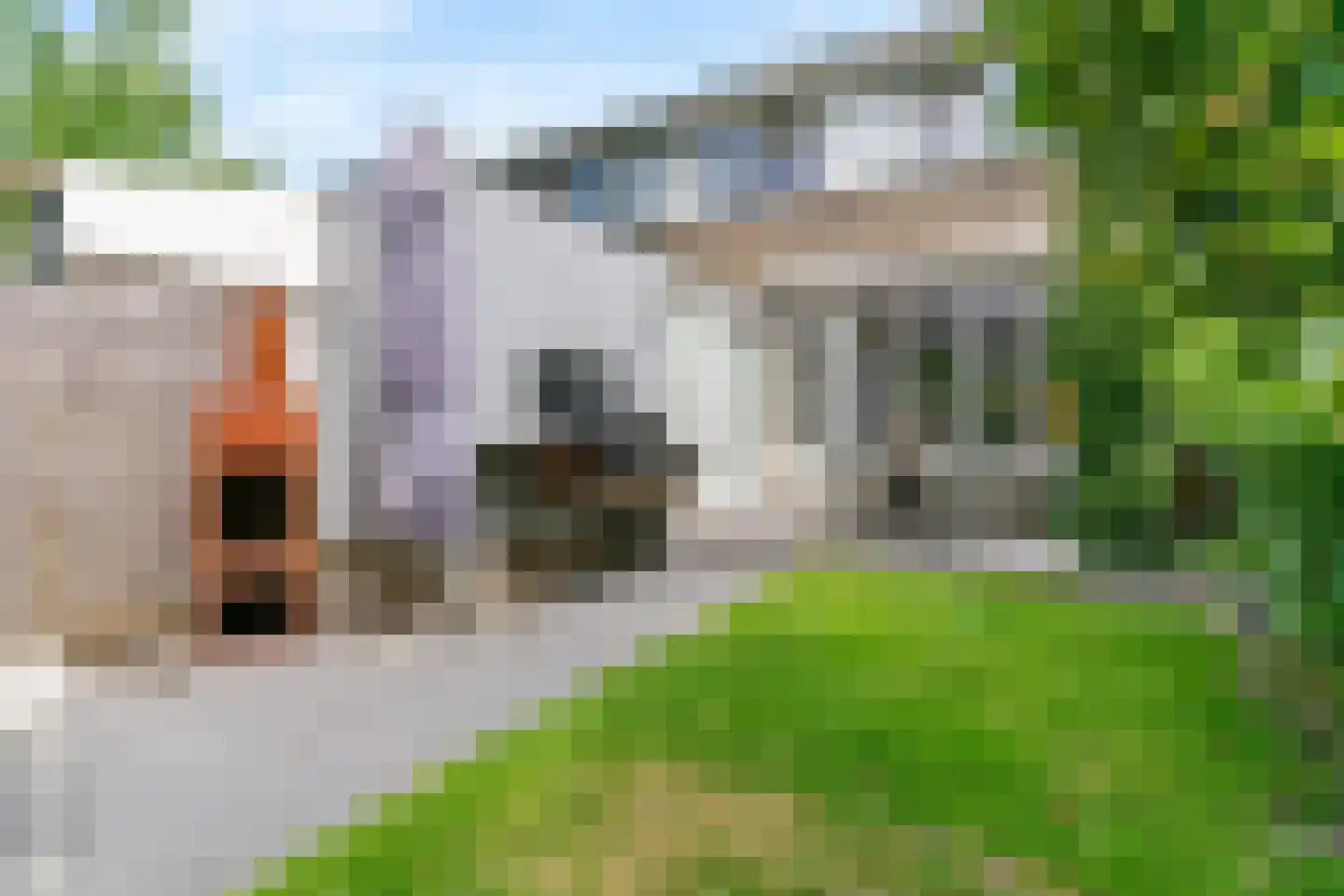 Damloperwerf 2 Leiden thumbnail 32