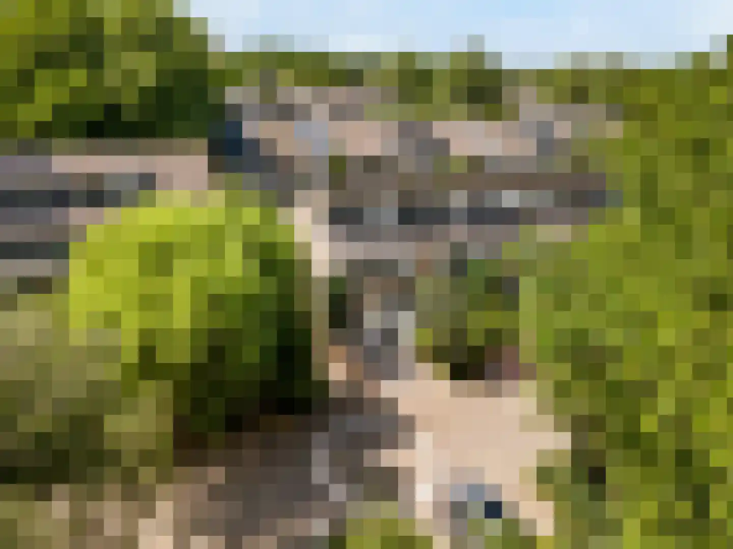 Damloperwerf 2 Leiden thumbnail 36