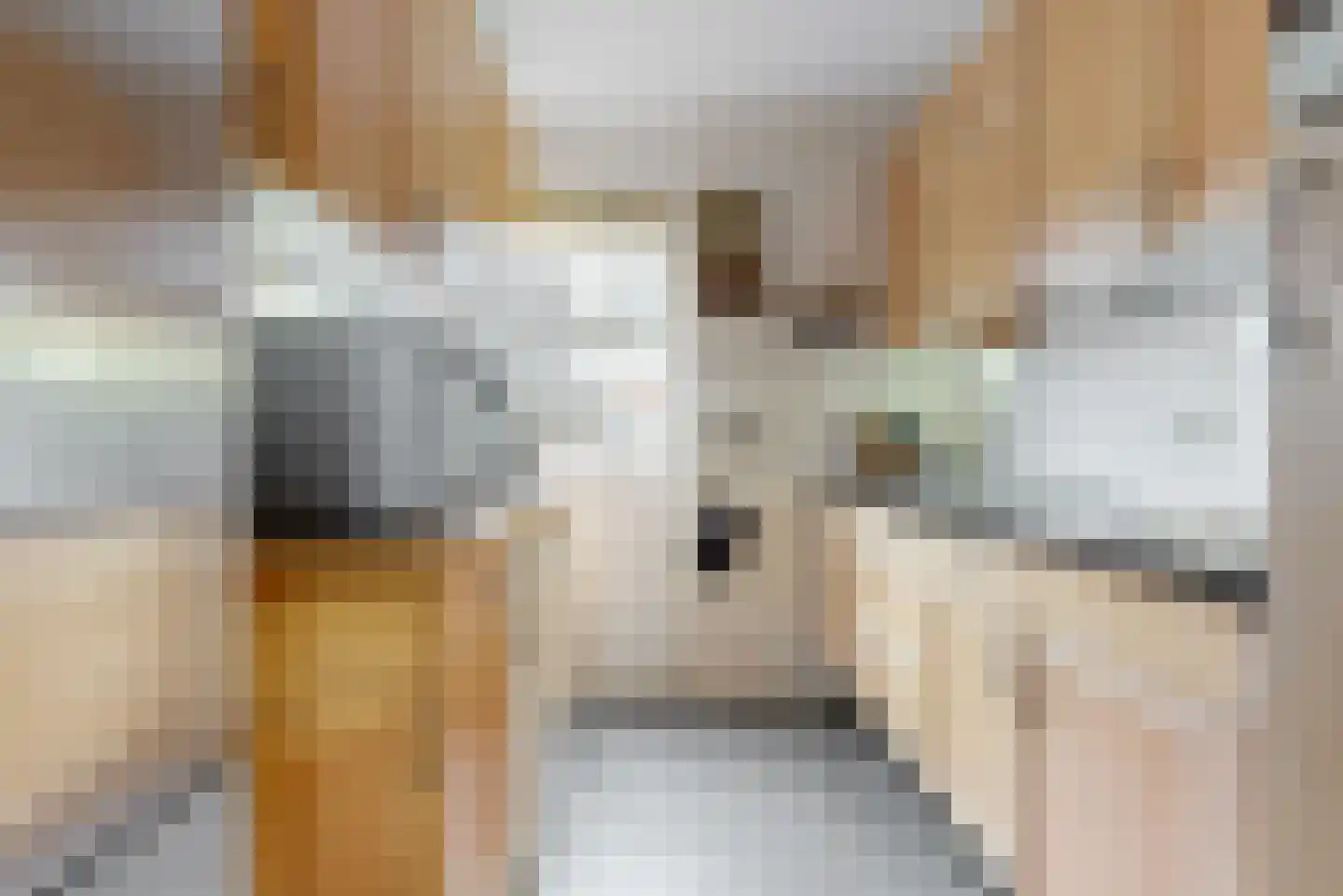 Damloperwerf 29 Leiden thumbnail 10