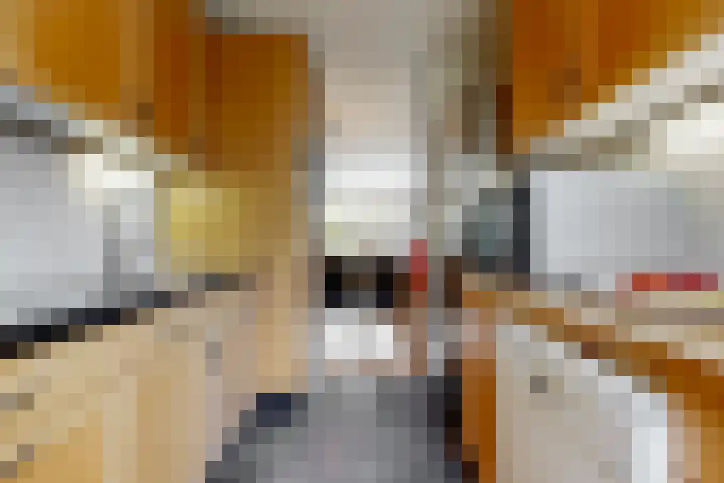 Damloperwerf 29 Leiden thumbnail 11