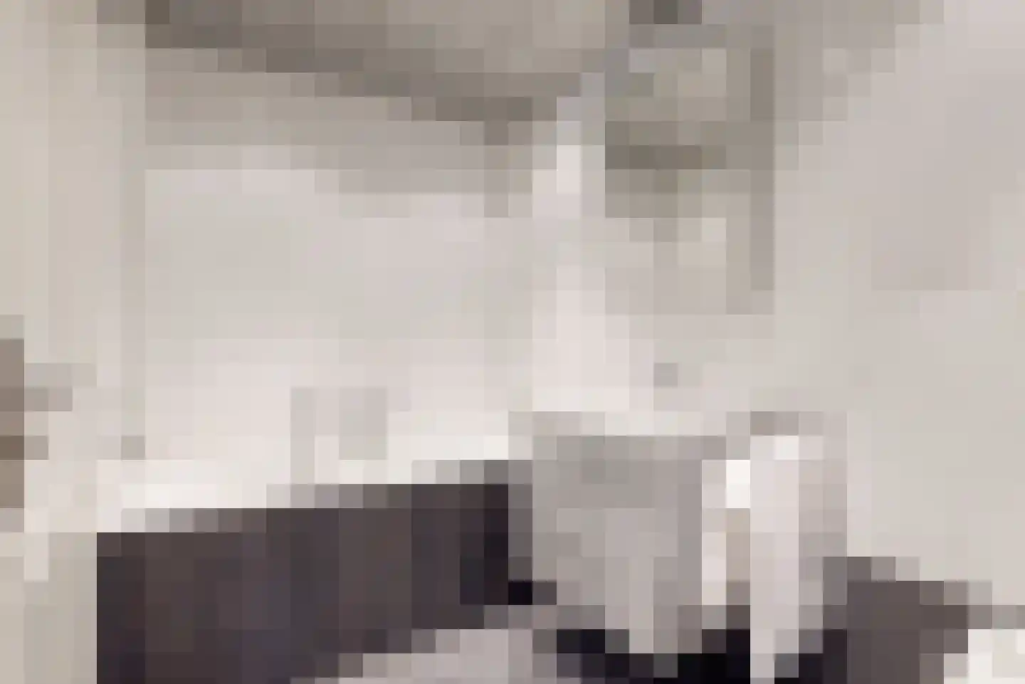 Damloperwerf 29 Leiden thumbnail 20