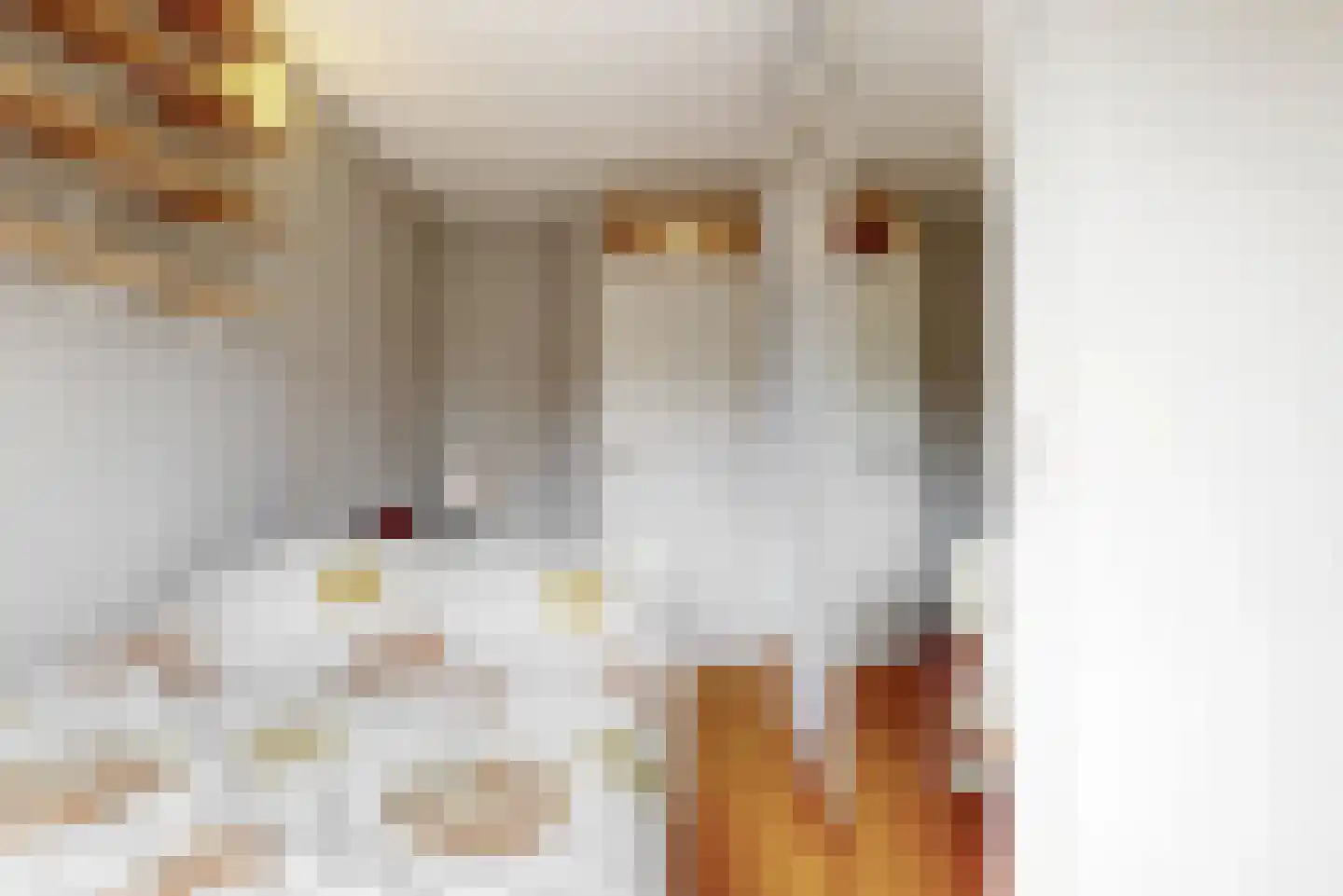 Damloperwerf 29 Leiden thumbnail 27