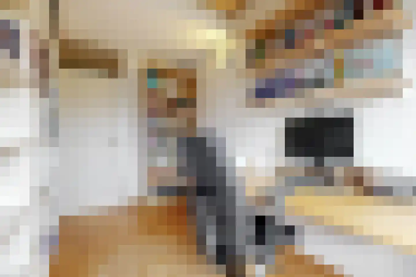 Damloperwerf 29 Leiden thumbnail 30