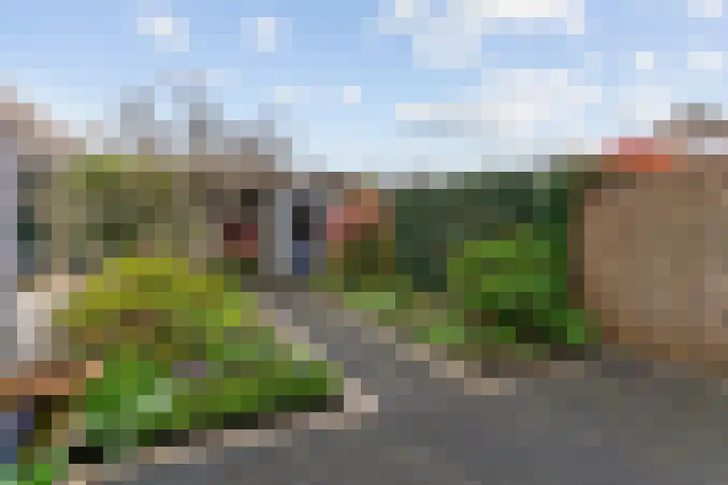 Damloperwerf 29 Leiden thumbnail 40