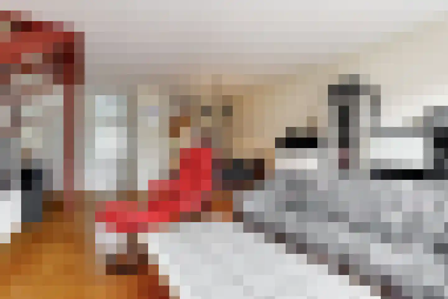 Damloperwerf 29 Leiden thumbnail 8