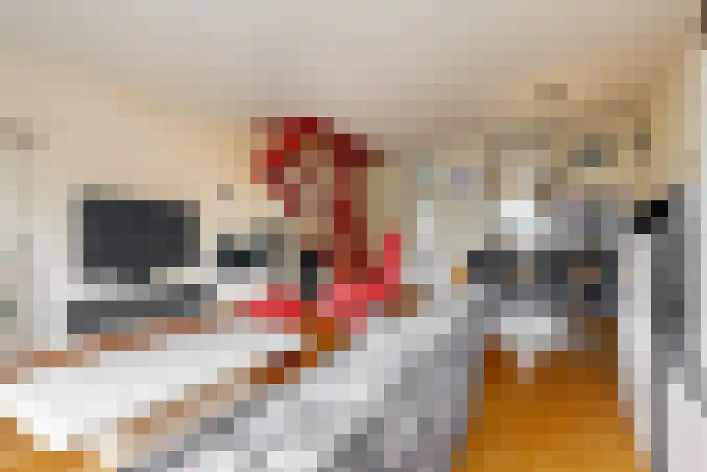 Damloperwerf 29 Leiden thumbnail 9