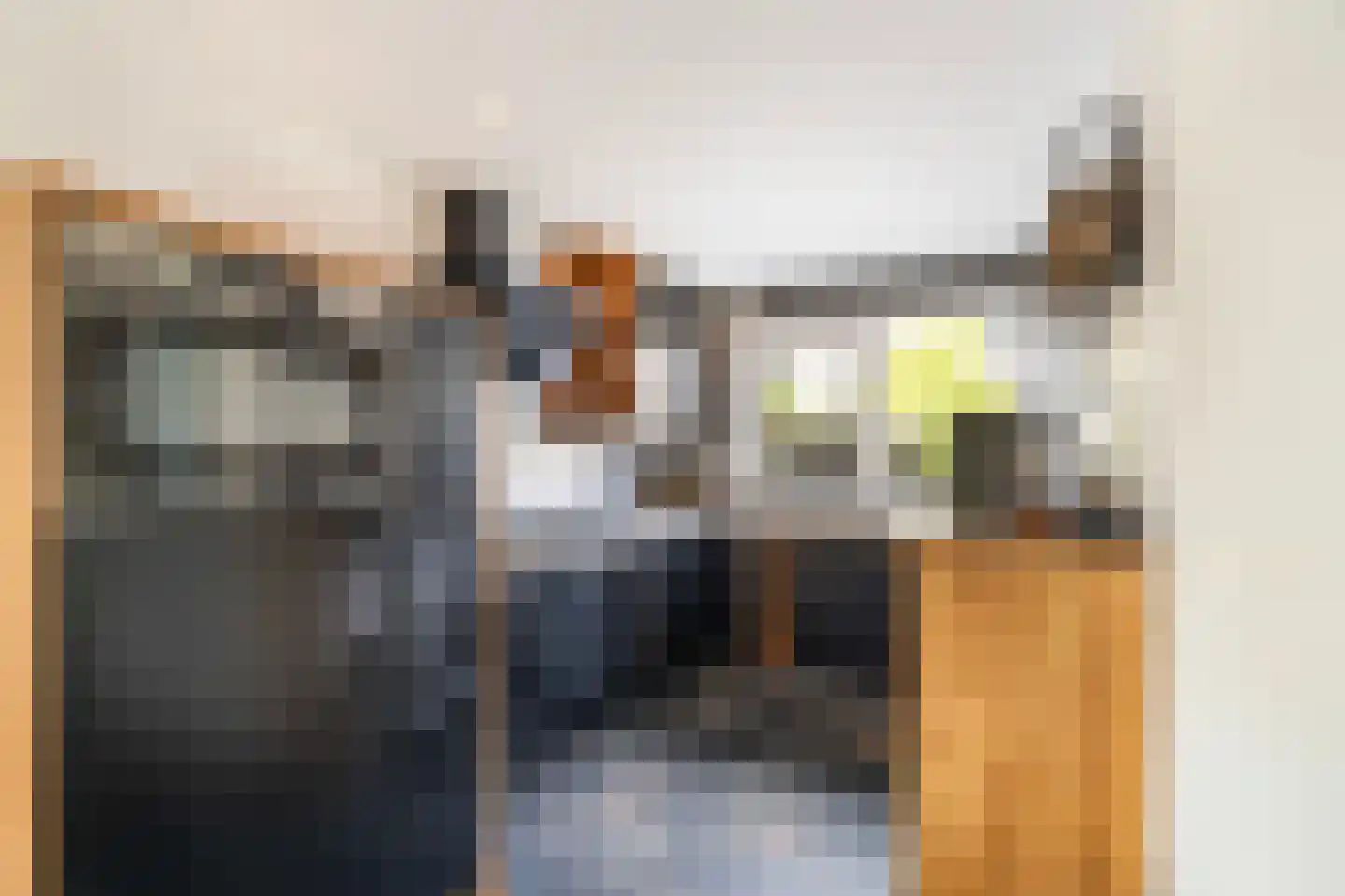 Damloperwerf 31 Leiden thumbnail 11