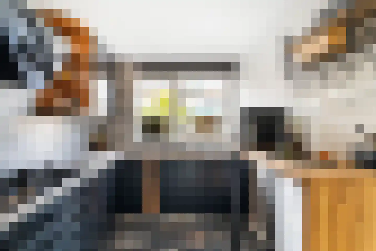 Damloperwerf 31 Leiden thumbnail 12