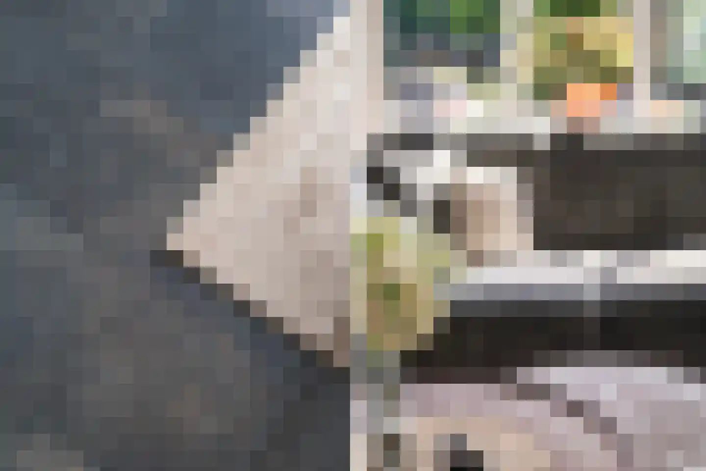 Damloperwerf 31 Leiden thumbnail 15