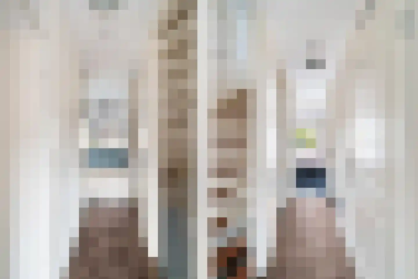 Damloperwerf 31 Leiden thumbnail 16