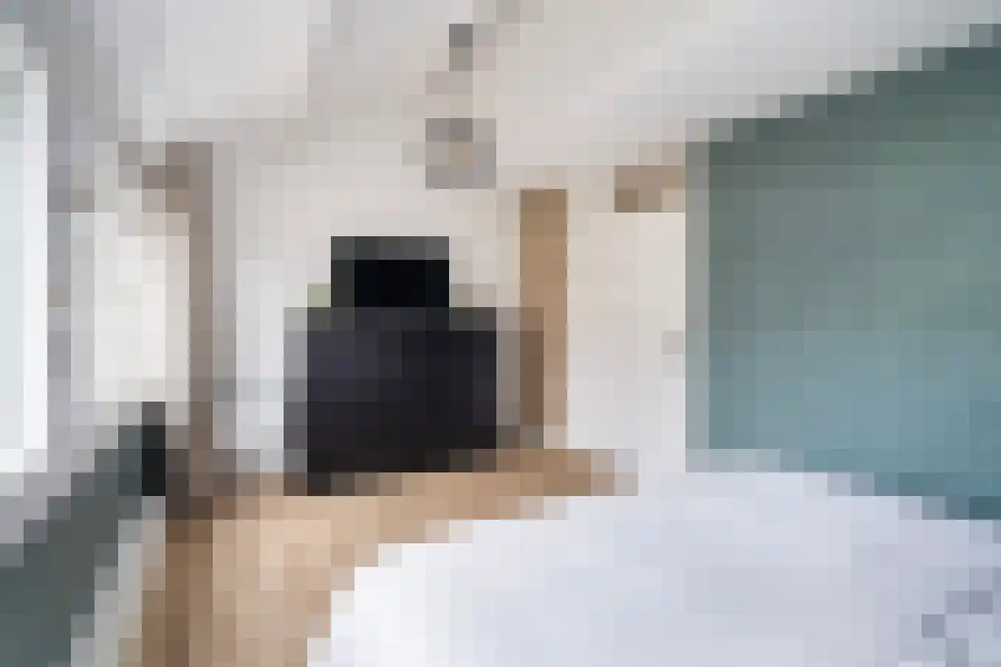 Damloperwerf 31 Leiden thumbnail 18