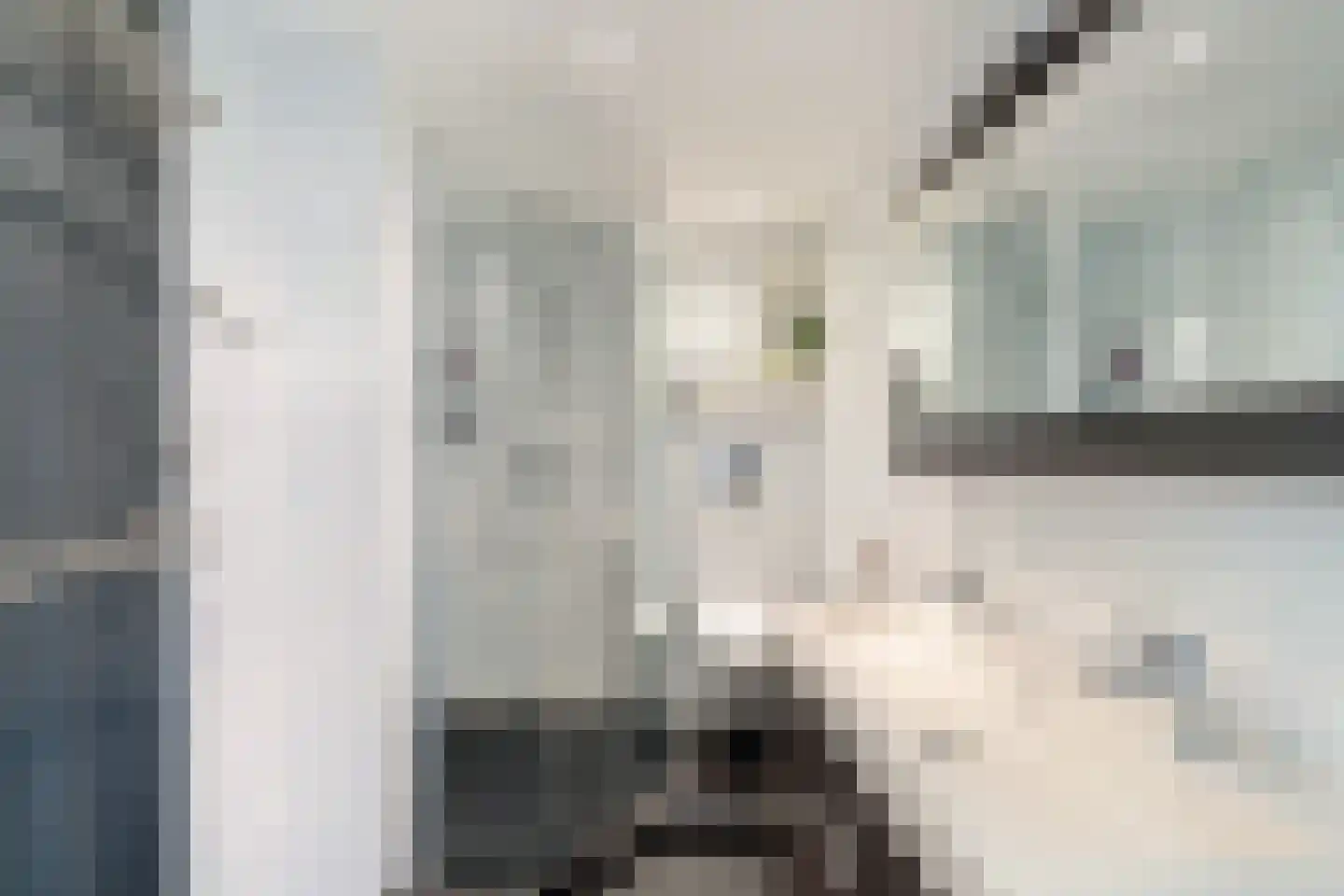 Damloperwerf 31 Leiden thumbnail 21