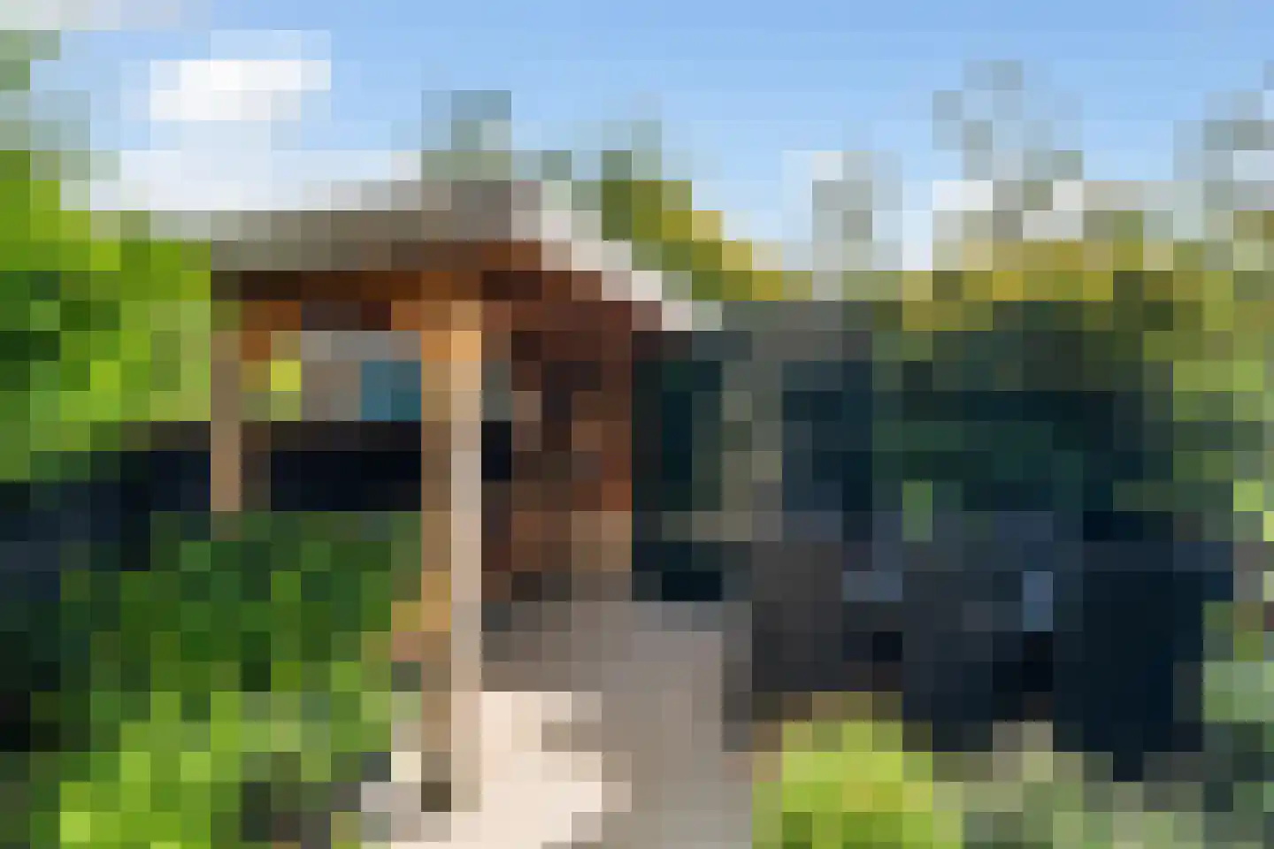Damloperwerf 31 Leiden thumbnail 30