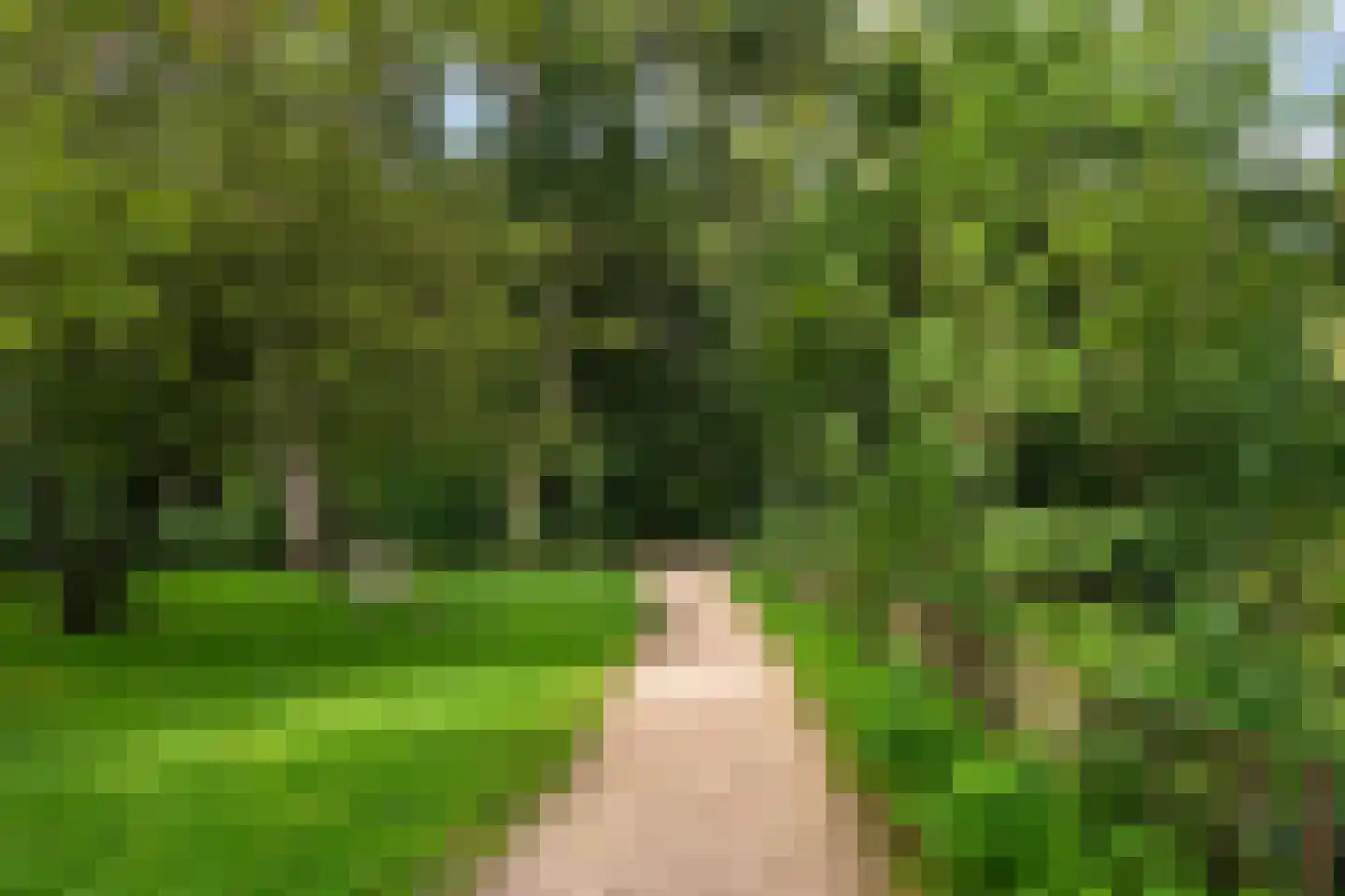 Damloperwerf 31 Leiden thumbnail 37