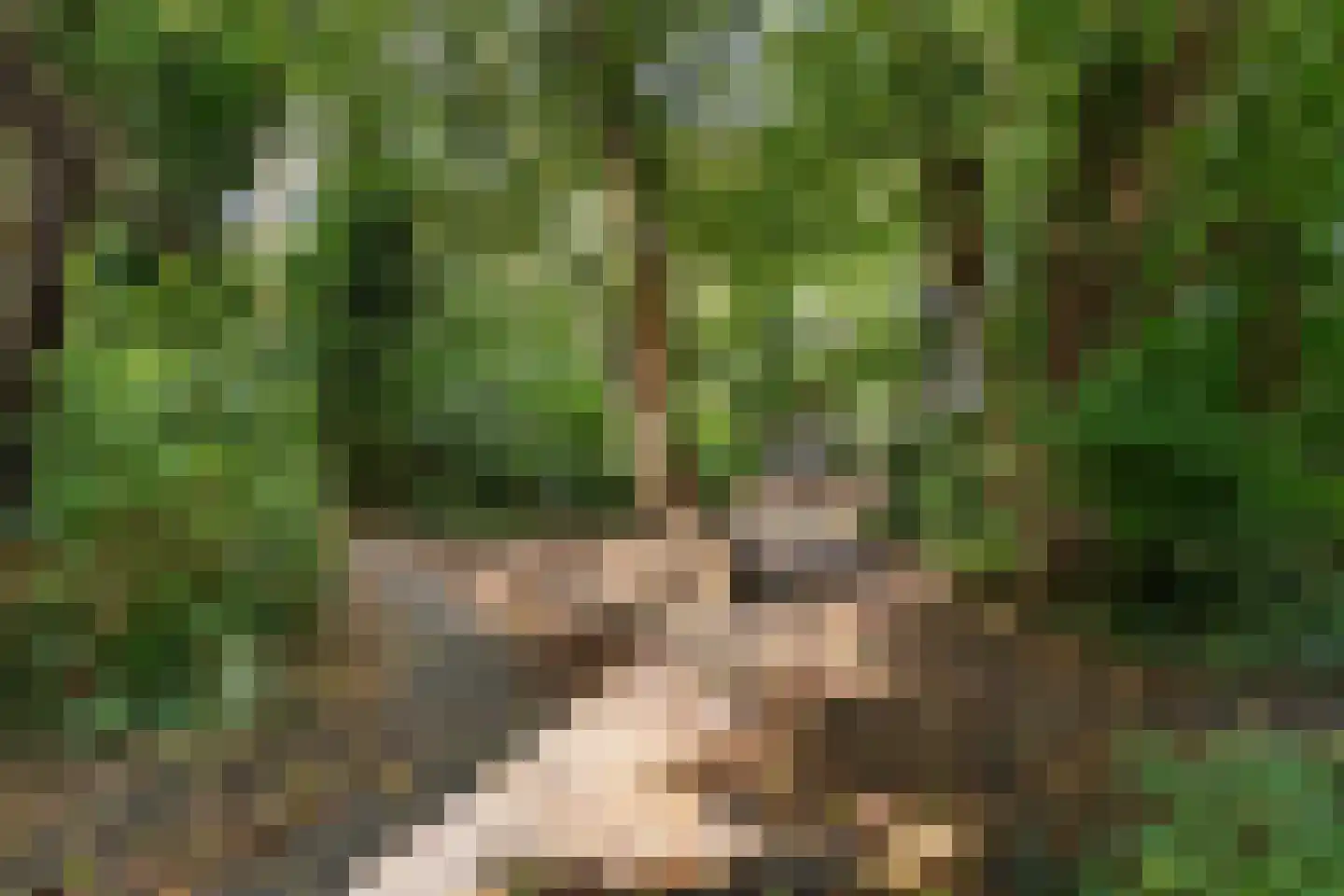 Damloperwerf 31 Leiden thumbnail 38