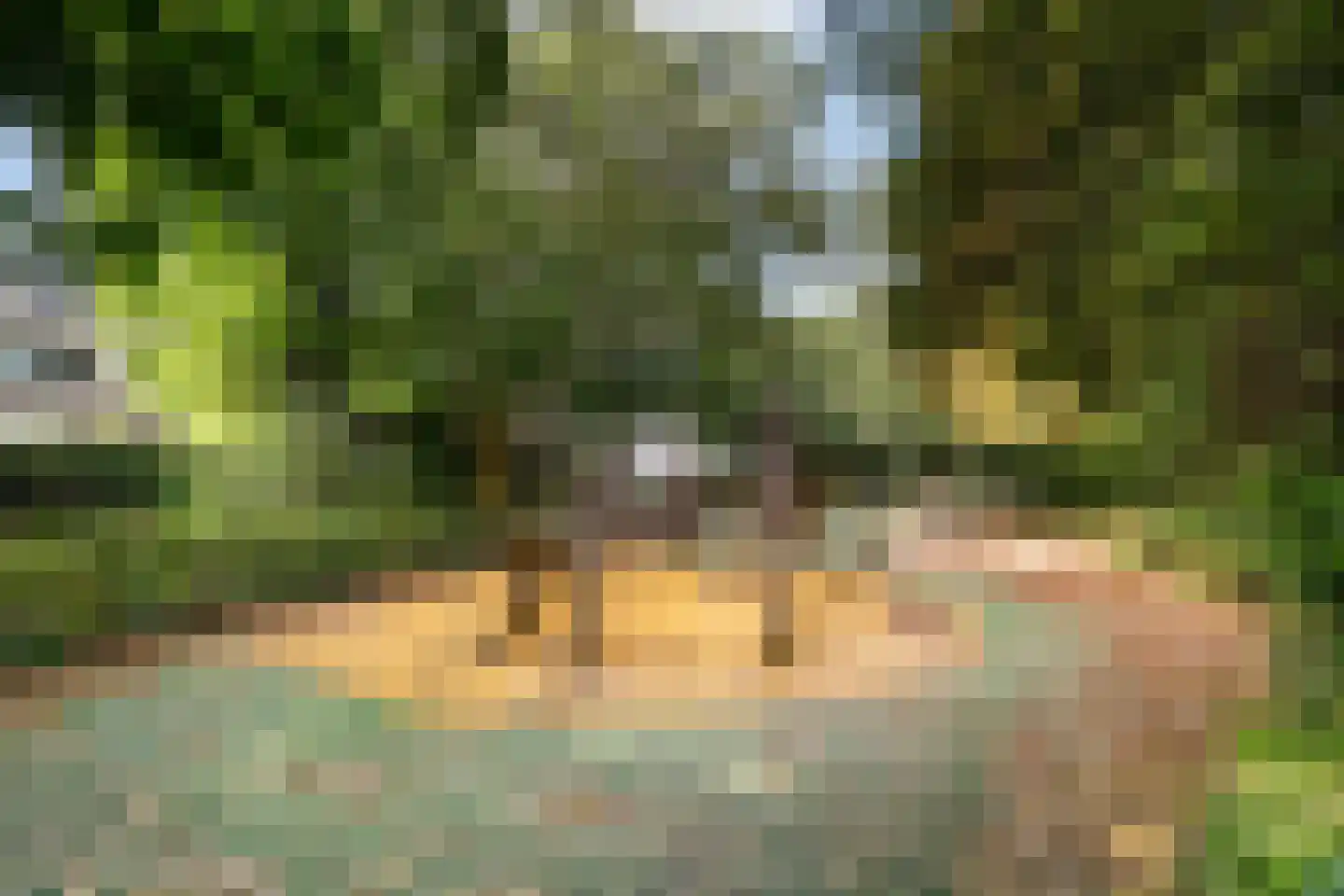 Damloperwerf 31 Leiden thumbnail 39