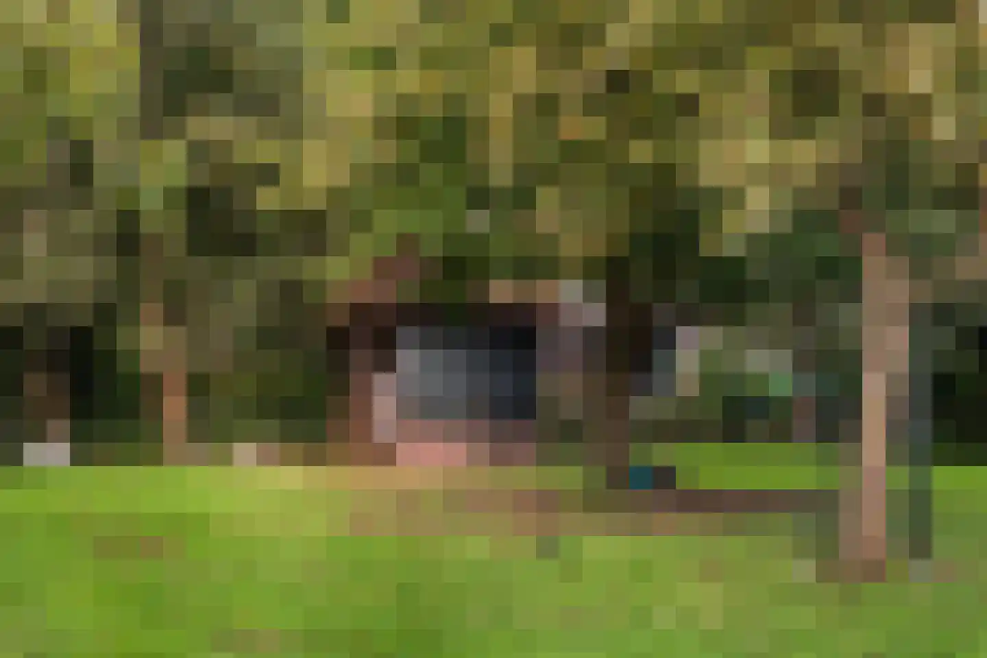 Damloperwerf 31 Leiden thumbnail 42