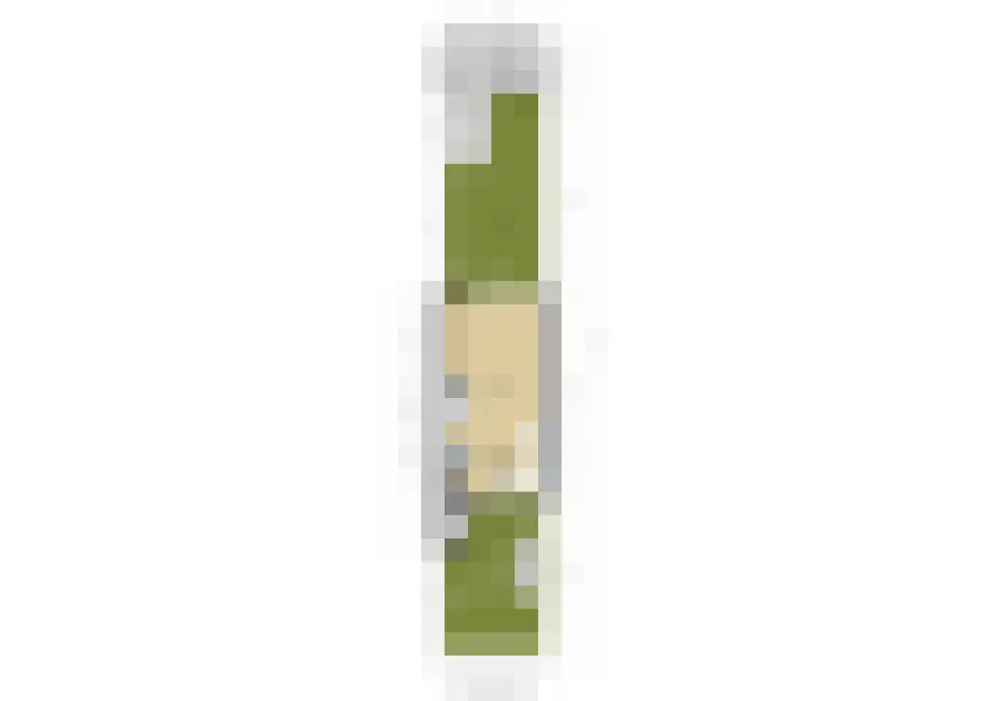 Damloperwerf 31 Leiden thumbnail 46