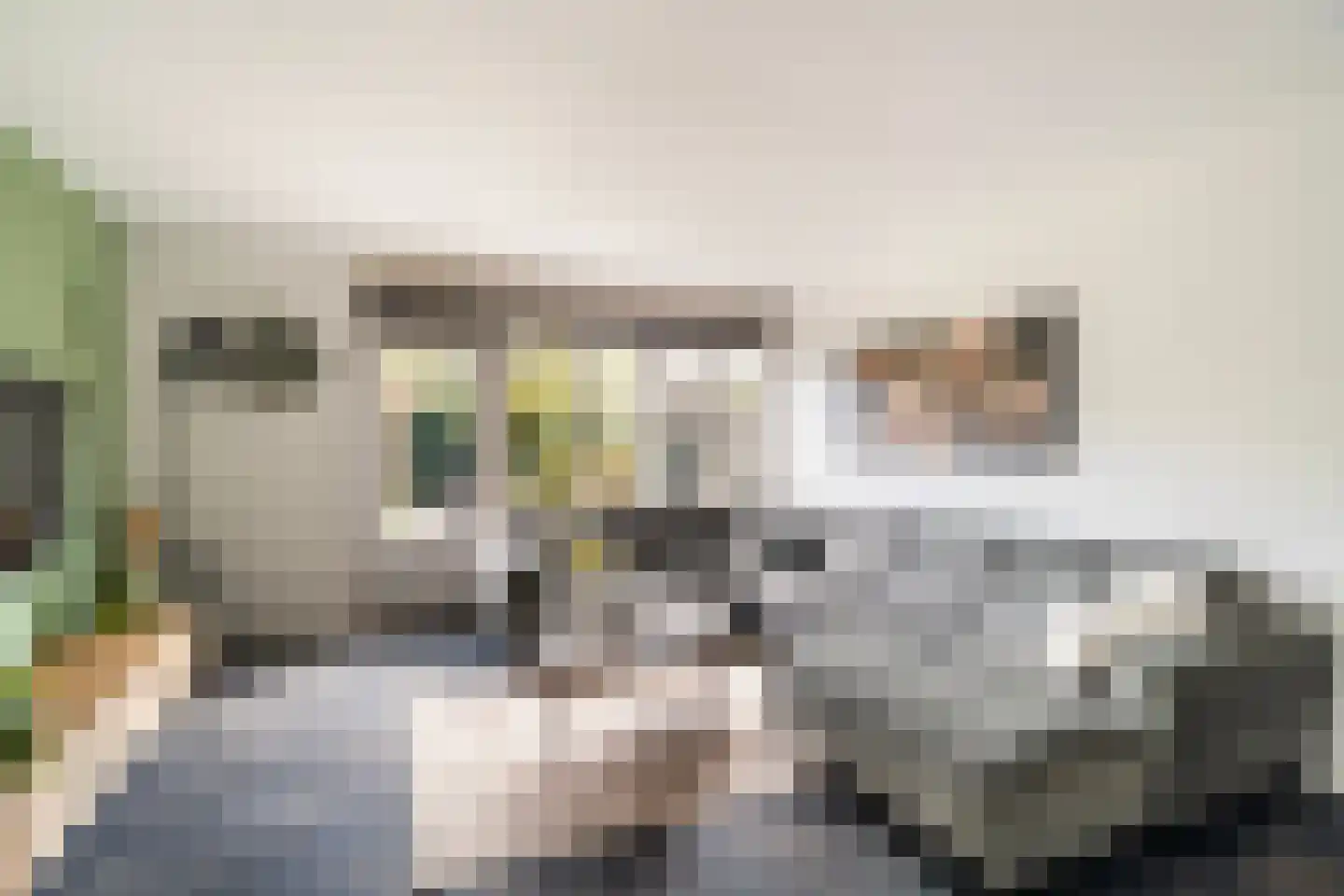Damloperwerf 31 Leiden thumbnail 6