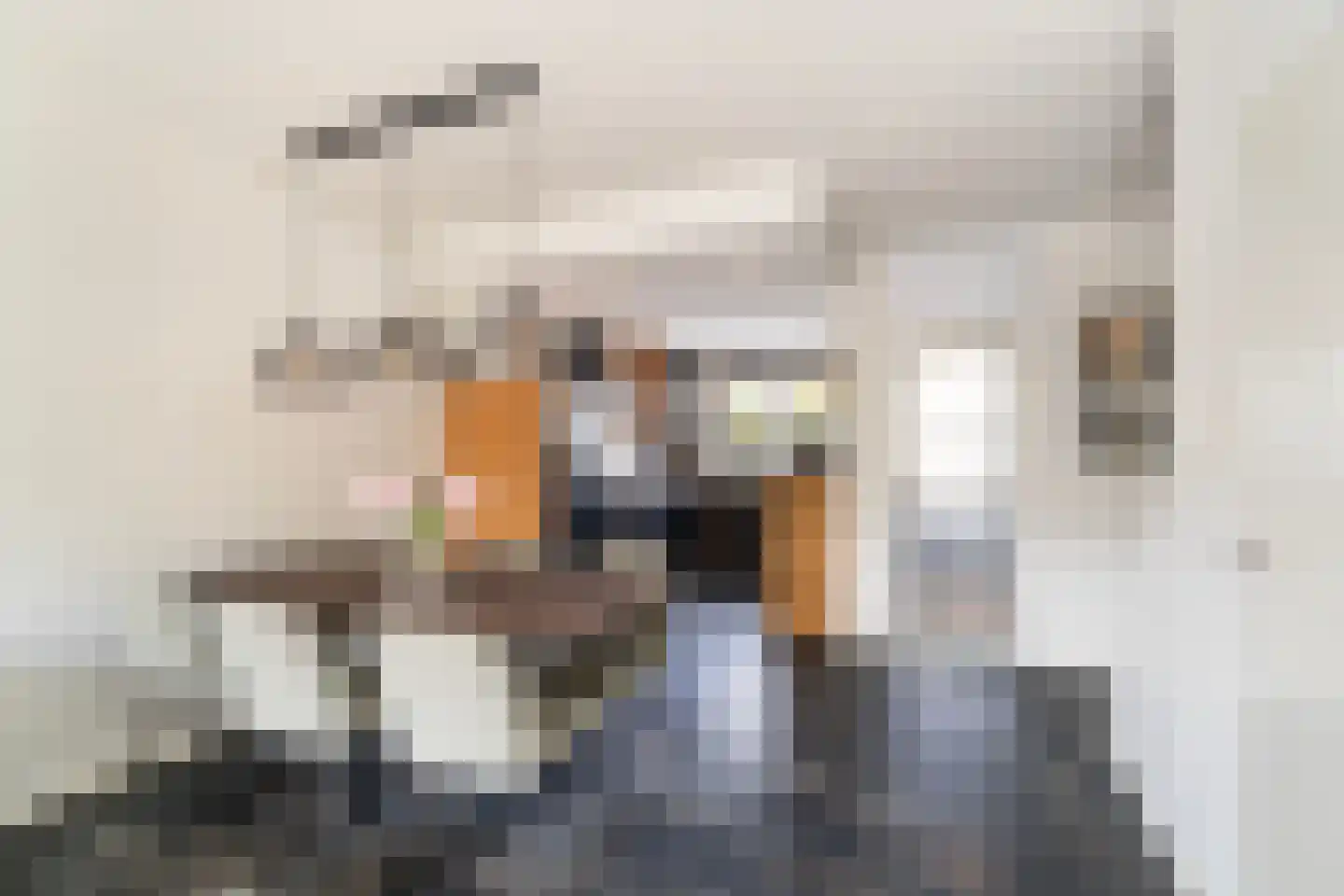 Damloperwerf 31 Leiden thumbnail 9