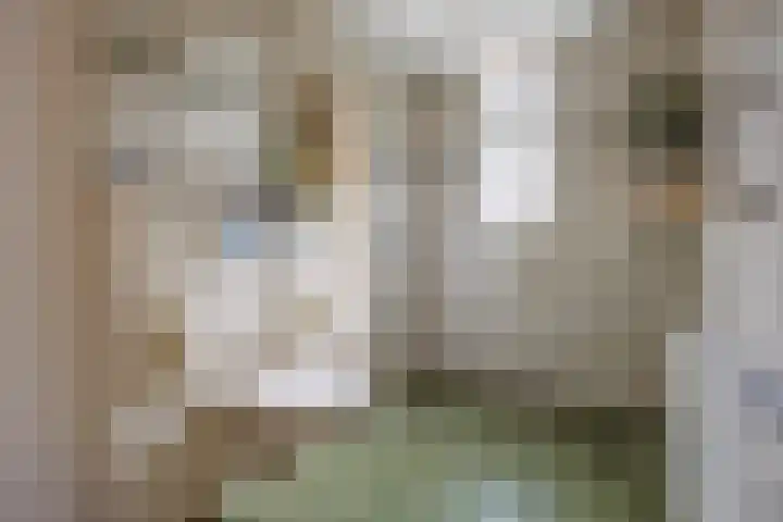 Damlust 8 Leersum thumbnail 12