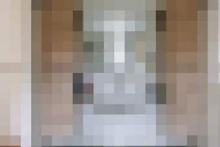 Damlust 8 Leersum thumbnail 14